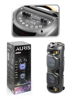 24W Parti 8x2 İnç Taşınabilir Rgb Renkli Kumandalı Mikrofonlu Büyük Boy Karaoke Bluetooth Hoparlör - Görsel 4