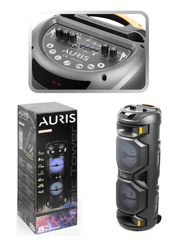 24W Parti 8x2 İnç Taşınabilir Rgb Renkli Kumandalı Mikrofonlu Büyük Boy Karaoke Bluetooth Hoparlör - Görsel 4