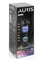 24W Parti 8x2 İnç Taşınabilir Rgb Renkli Kumandalı Mikrofonlu Büyük Boy Karaoke Bluetooth Hoparlör - Görsel 5